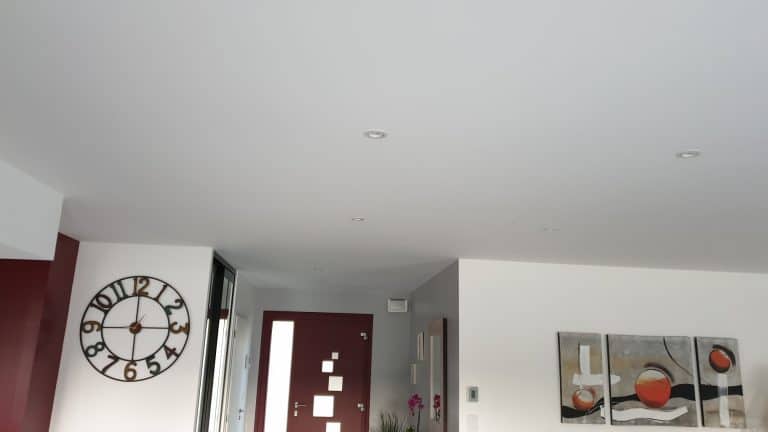 Devis Prix Remise en état peinture plafond après dégât des eaux